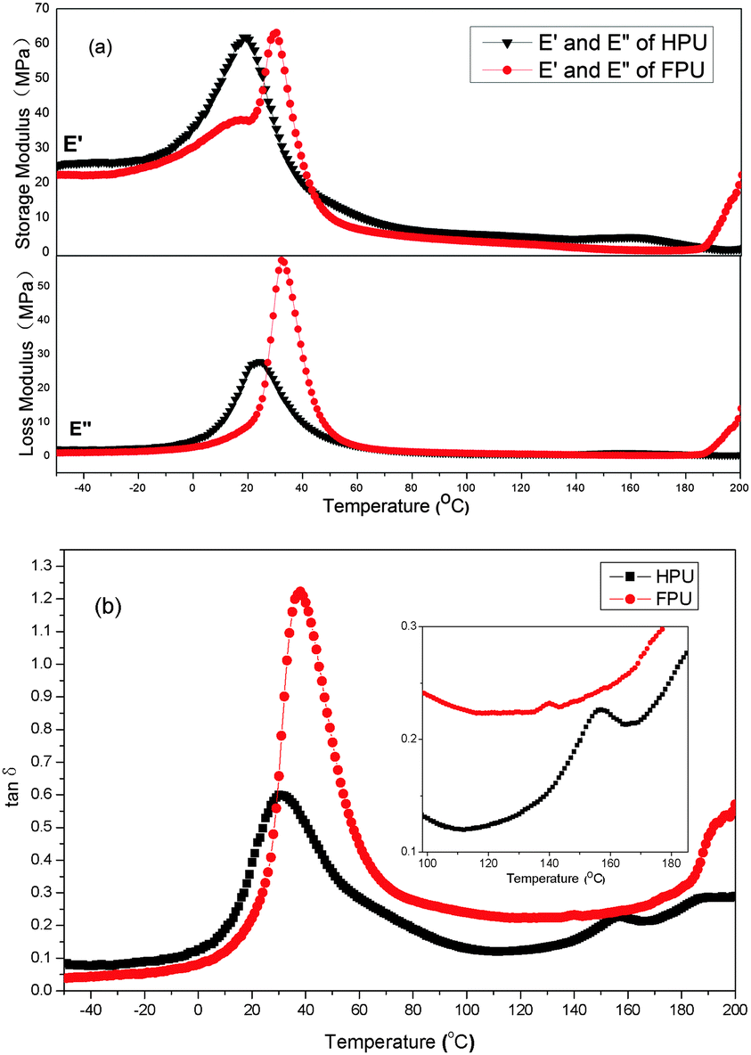 The synthesis and curing study of a new fluorinated