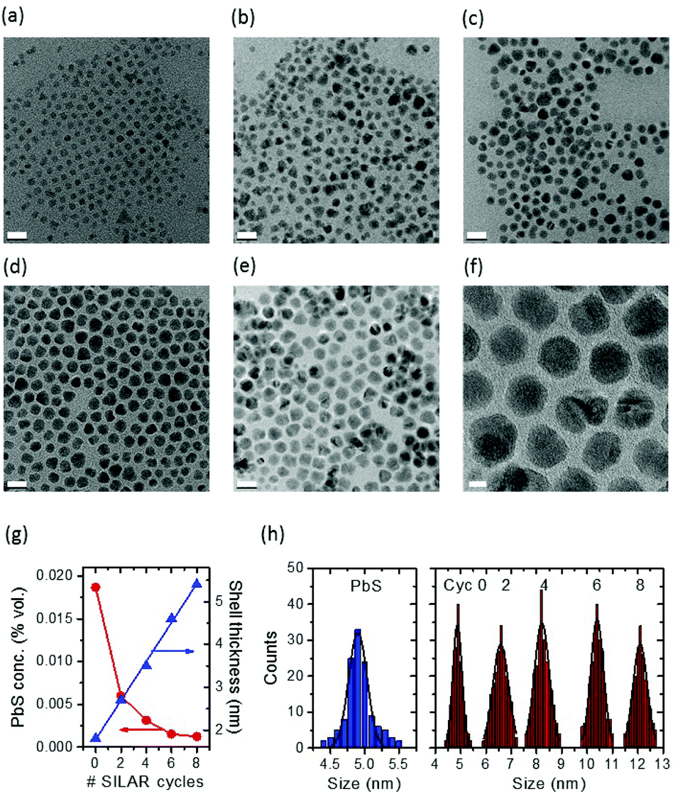 core shell quantum dot