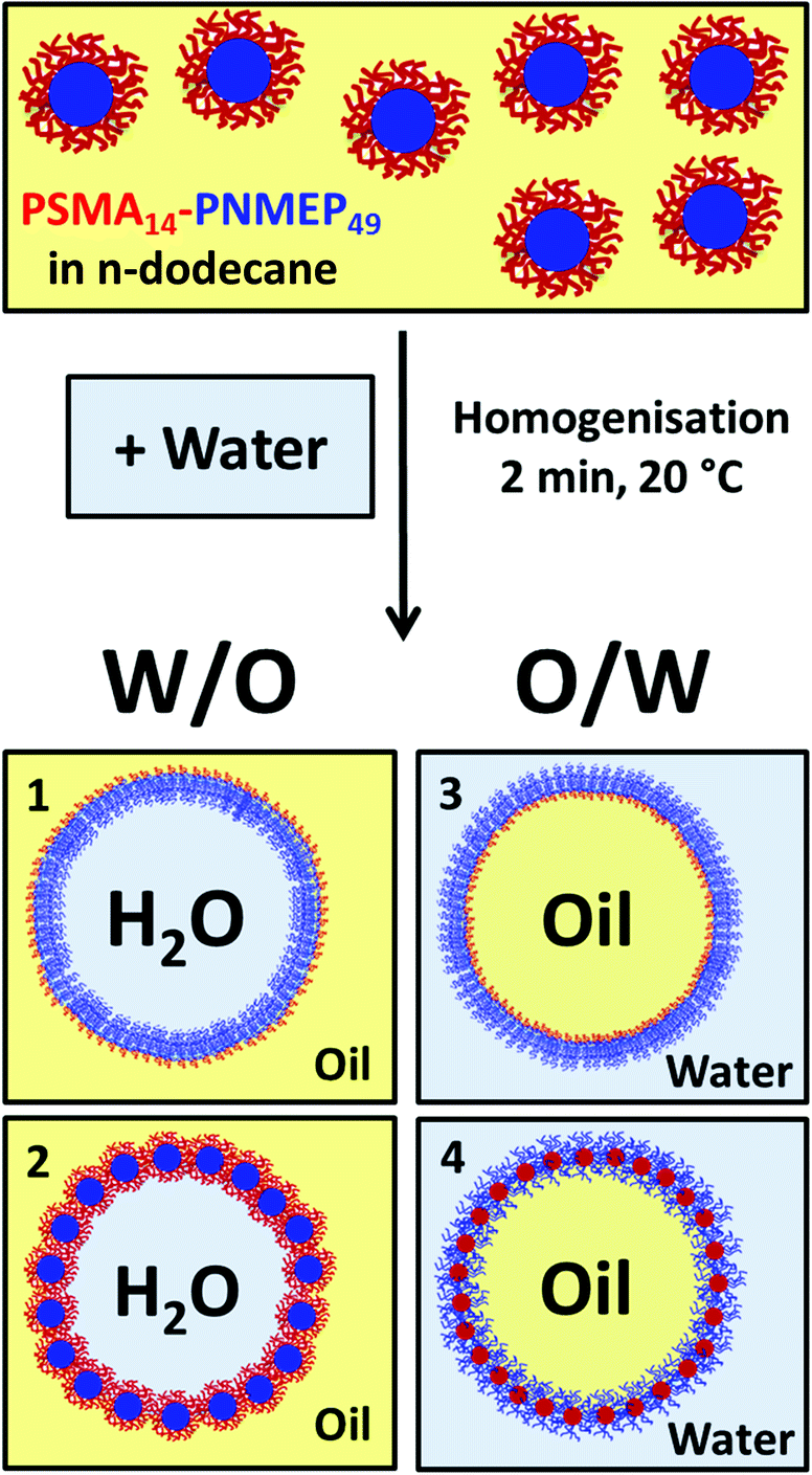 synthesis, characterisation and pickering emulsifier performance