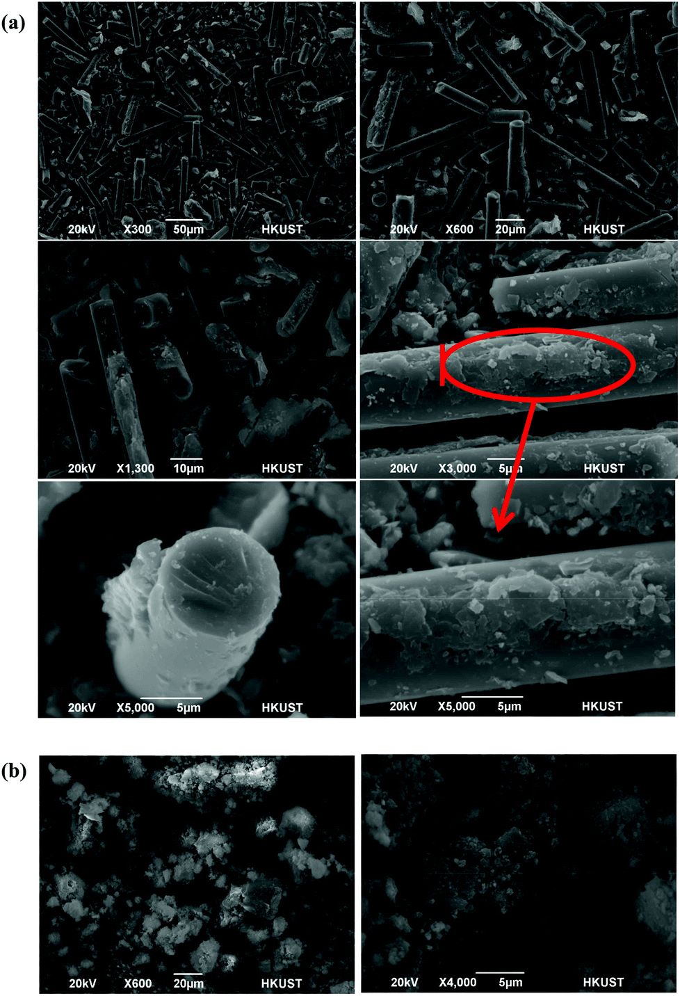 sustainable development of a surface-functionalized