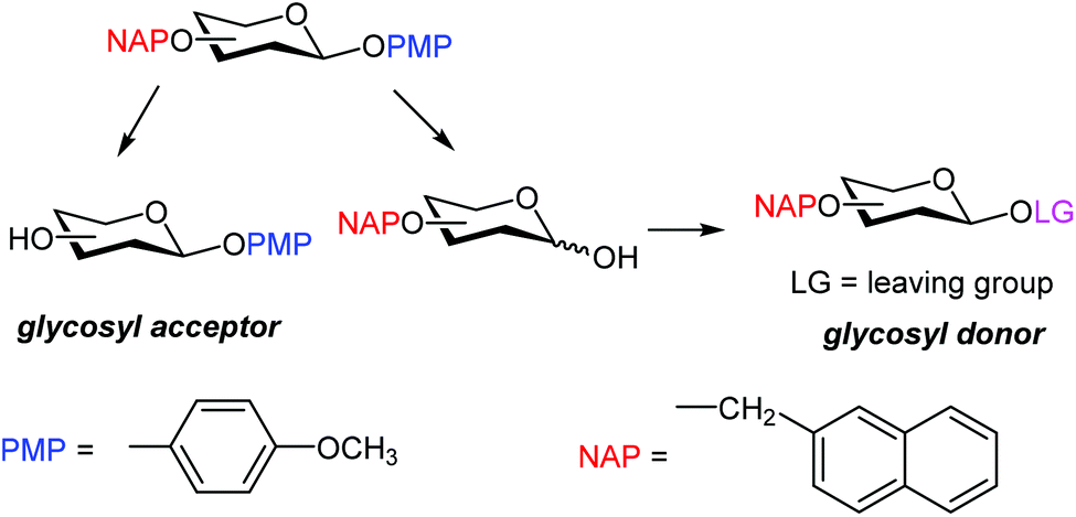 after the release of the pmp protection, the anomeric hyd