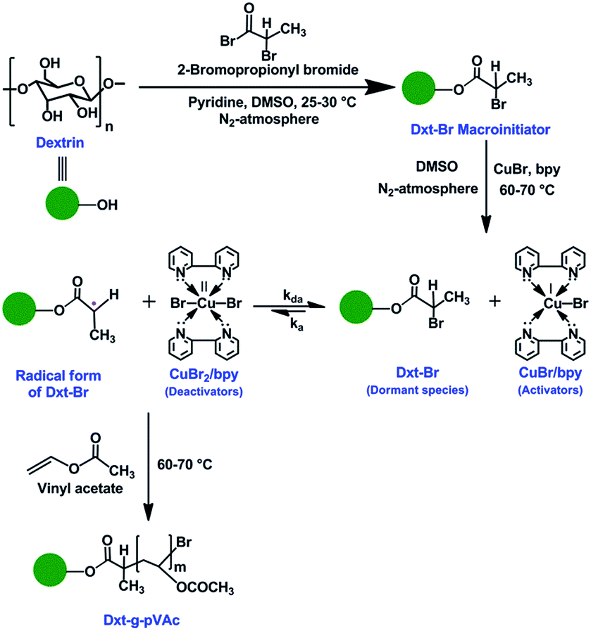 Synthesis and characterization of biodegradable copolymer derived from