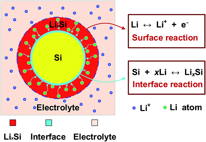 A model for diffusion and chemical reaction of silicon anode
