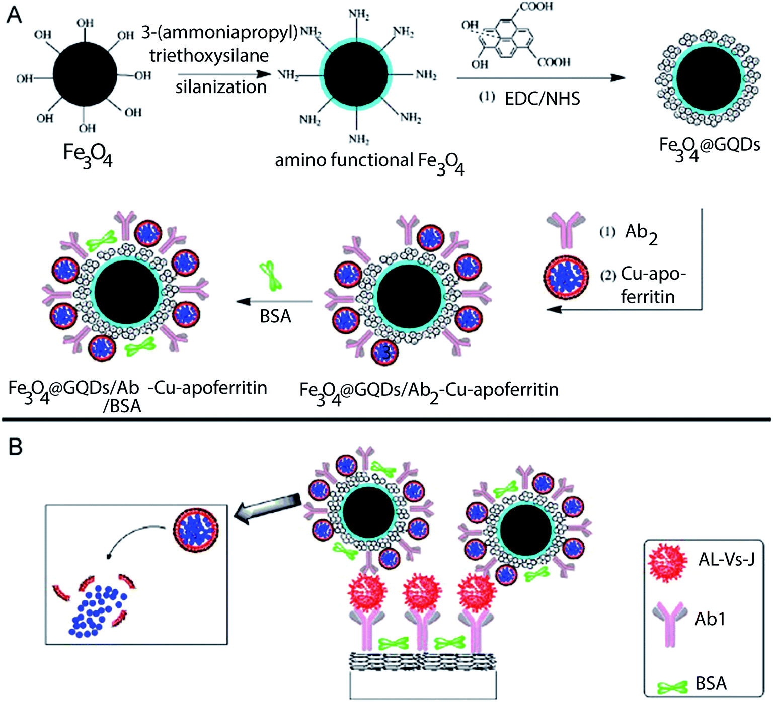 Electrochemical Immunosensors And Their Recent Nanomaterial-based ...