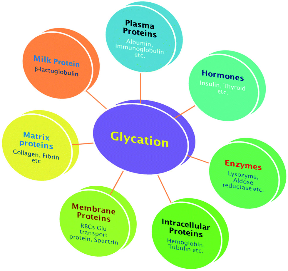 Nonenzymatic glycation mediated structurefunction changes in proteins