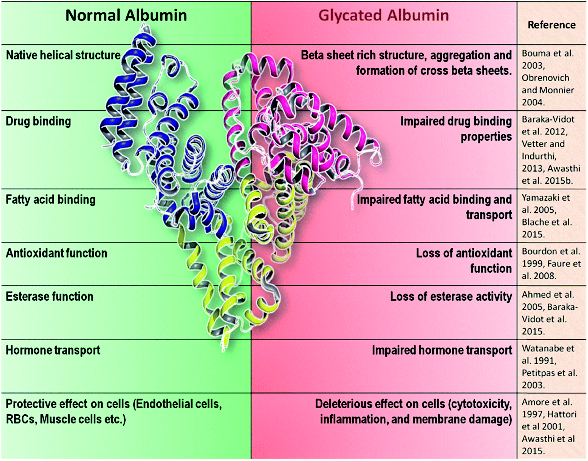 Non-enzymatic glycation mediated structure–function changes in proteins