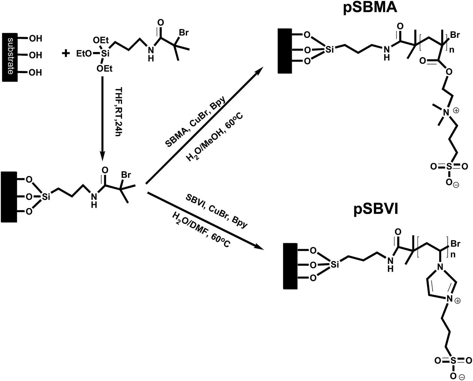 zwitterionic polymer brush coatings with excellent anti-fog and