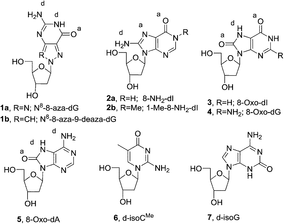 base pairing involving artificial bases