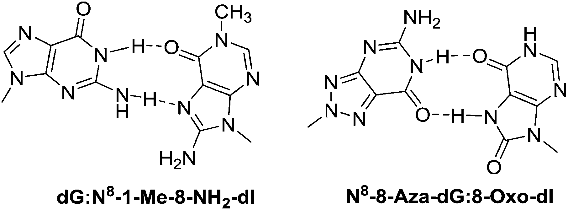 base pairing involving artificial bases