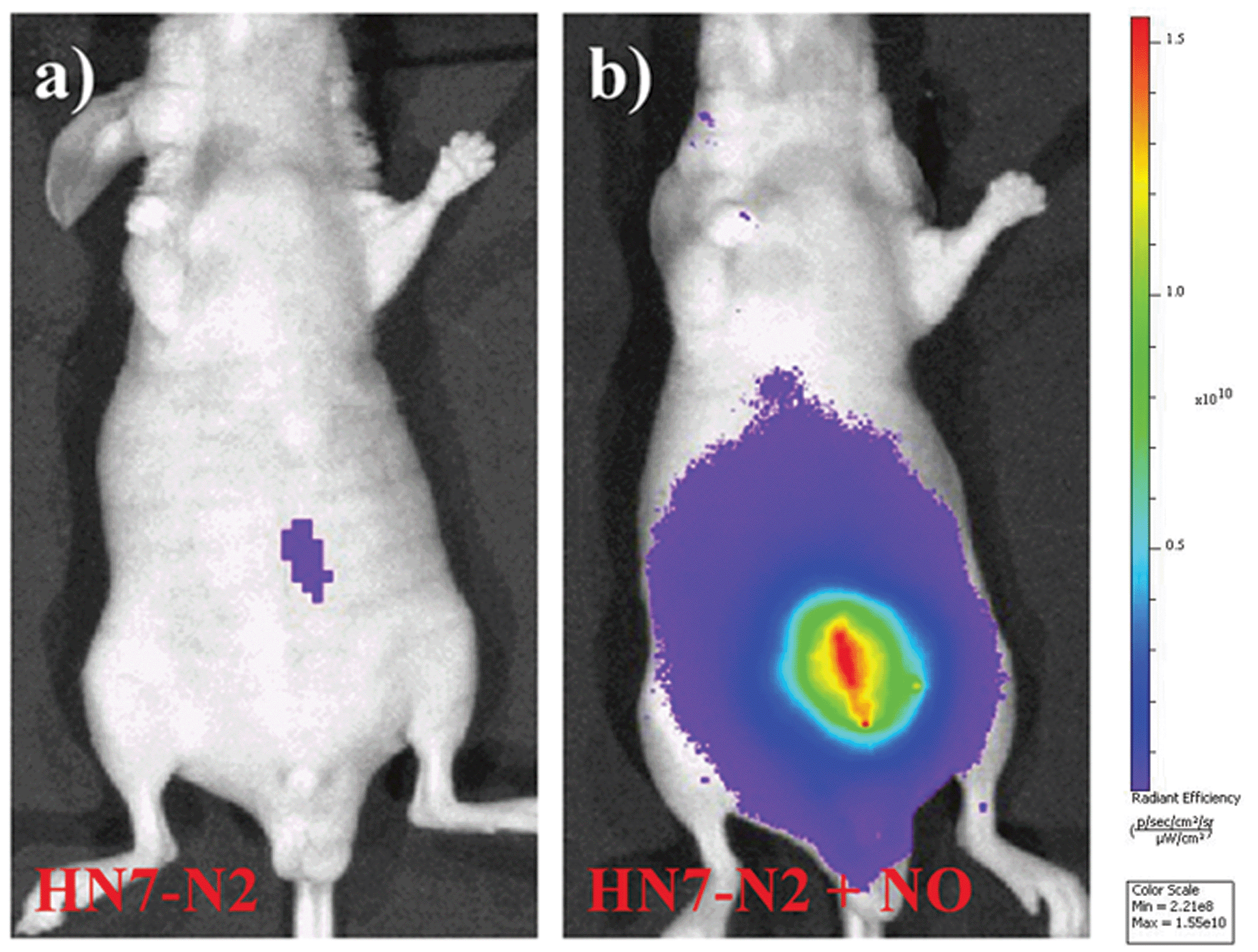 a unique approach toward near-infrared fluorescent