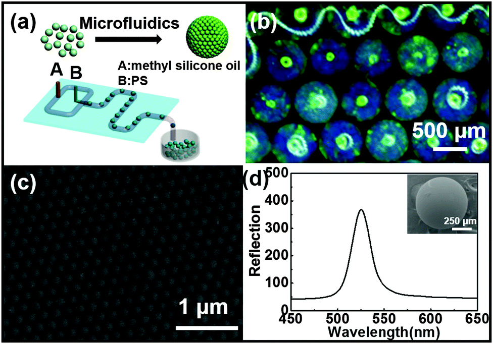 The Fabrication Of 2d And Photonic Crystal Arrays Towards High 2 A Fabrication Of Pc Supra B Optical Microscopy Images Prepared Scale Bar 500 μm C Close Packed Lattices On The Surface