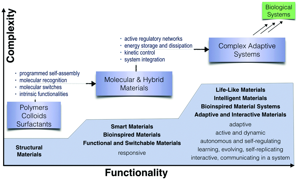 functional autonomy of motives