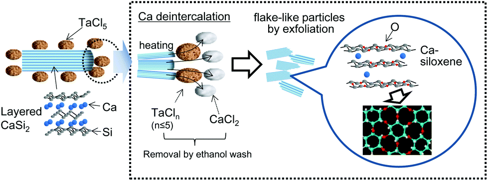 Stabilized lithium-ion battery anode performance by calcium-bridging of ...