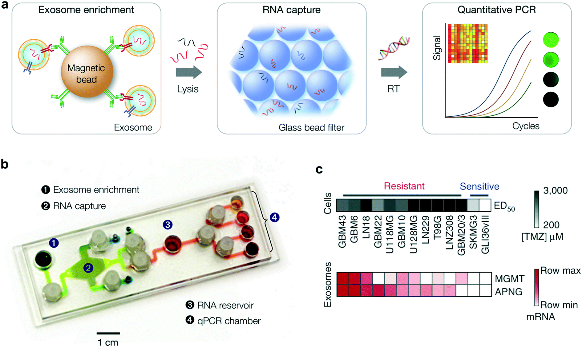 Novel Nanosensing Technologies For Exosome Detection And Profiling