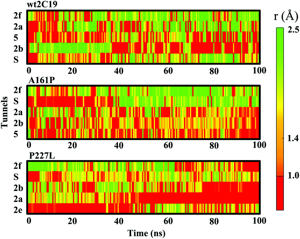 molecular dynamics investigations of