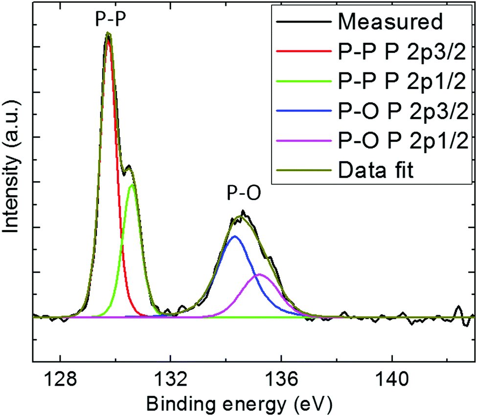 Black phosphorus nanoparticles as a novel fluorescent sensing platform