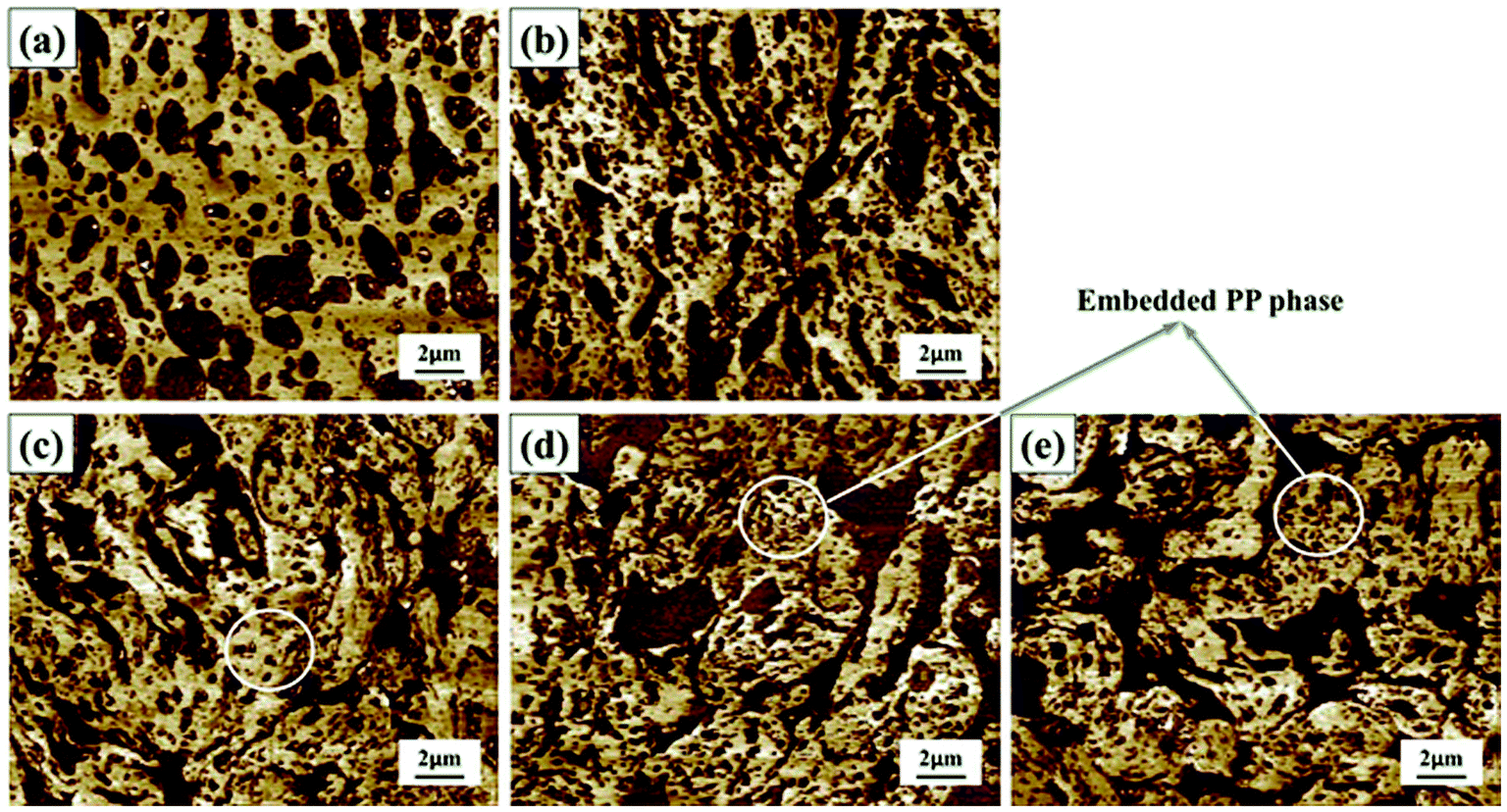 Unique microstructure of an oil resistant nitrile butadiene rubber