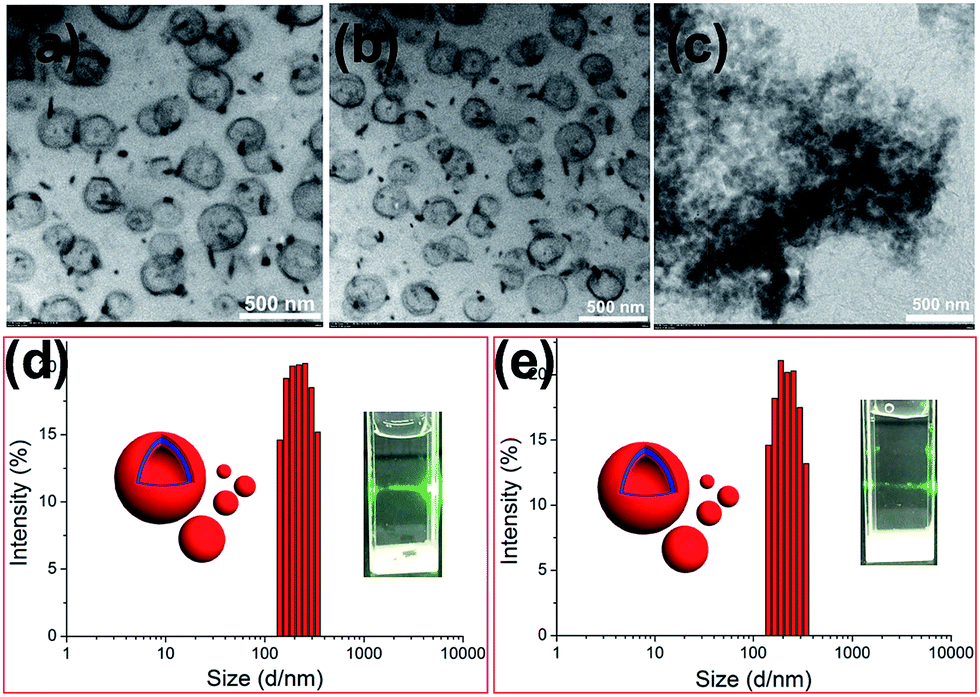 hindrance of photodimerization of coumarin derivative induced by