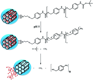 Self-immolative polymers as novel pH-responsive gate keepers for drug ...