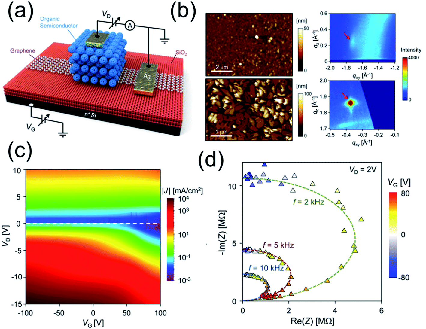 Thin film transistors based on two dimensional graphene and graphene