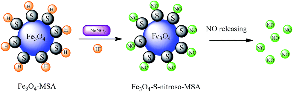 superparamagnetic iron oxide nanoparticles dispersed i