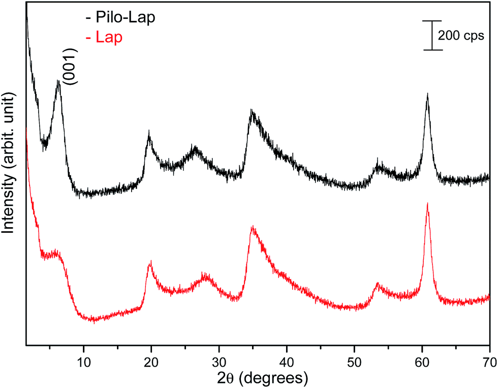 laponite03