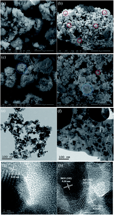 magnetically separable agicbioi/cofe