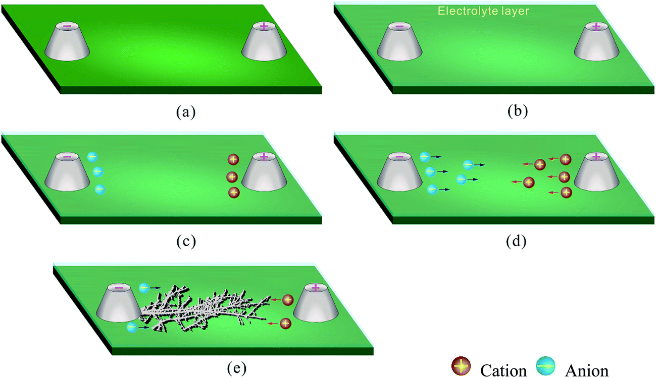 Electrochemical migration of Sn and Sn solder alloys a review RSC