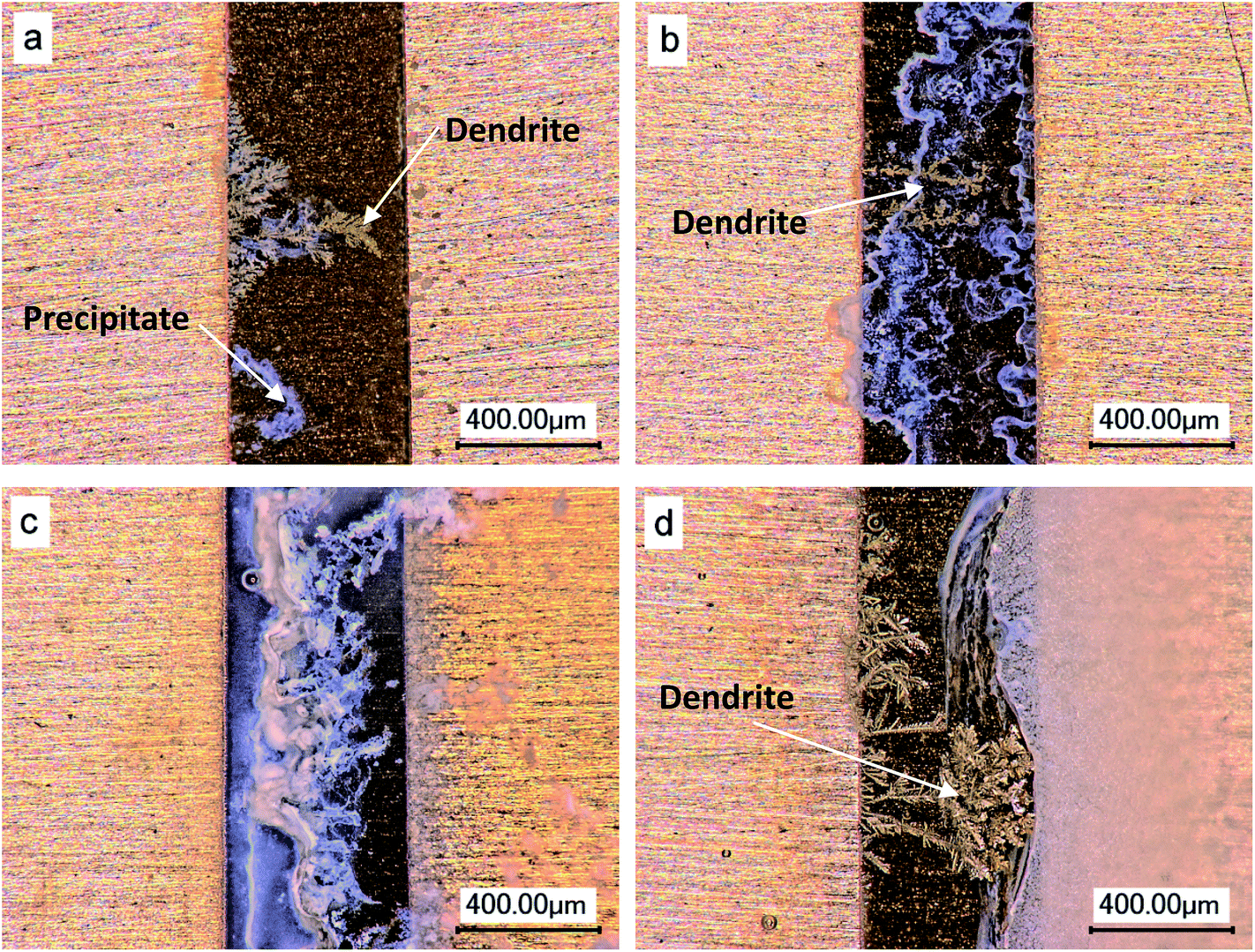 Electrochemical migration of Sn and Sn solder alloys a review RSC