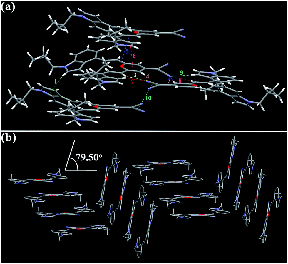 intermolecular force图片