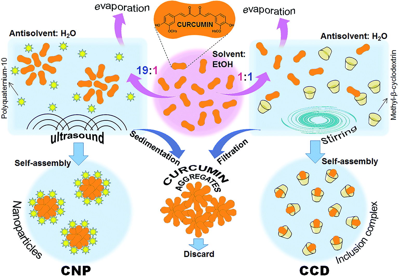 Antimicrobial activity