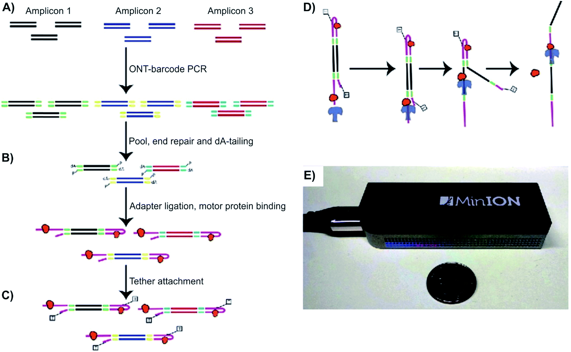 Piecing together the puzzle nanopore technology in detection and