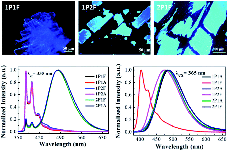 How sidechain substituents and substrates influence mechanochromic