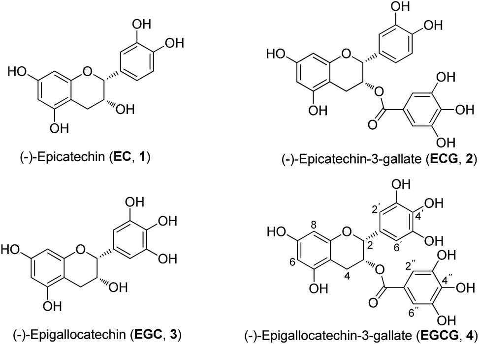Synthesis, antioxidant activity, and density functional theory study of