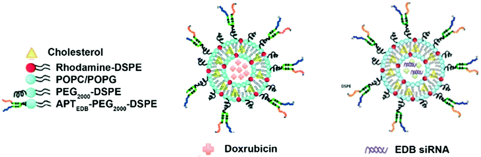 Bromination and debromination of cholesterol biology essay picture