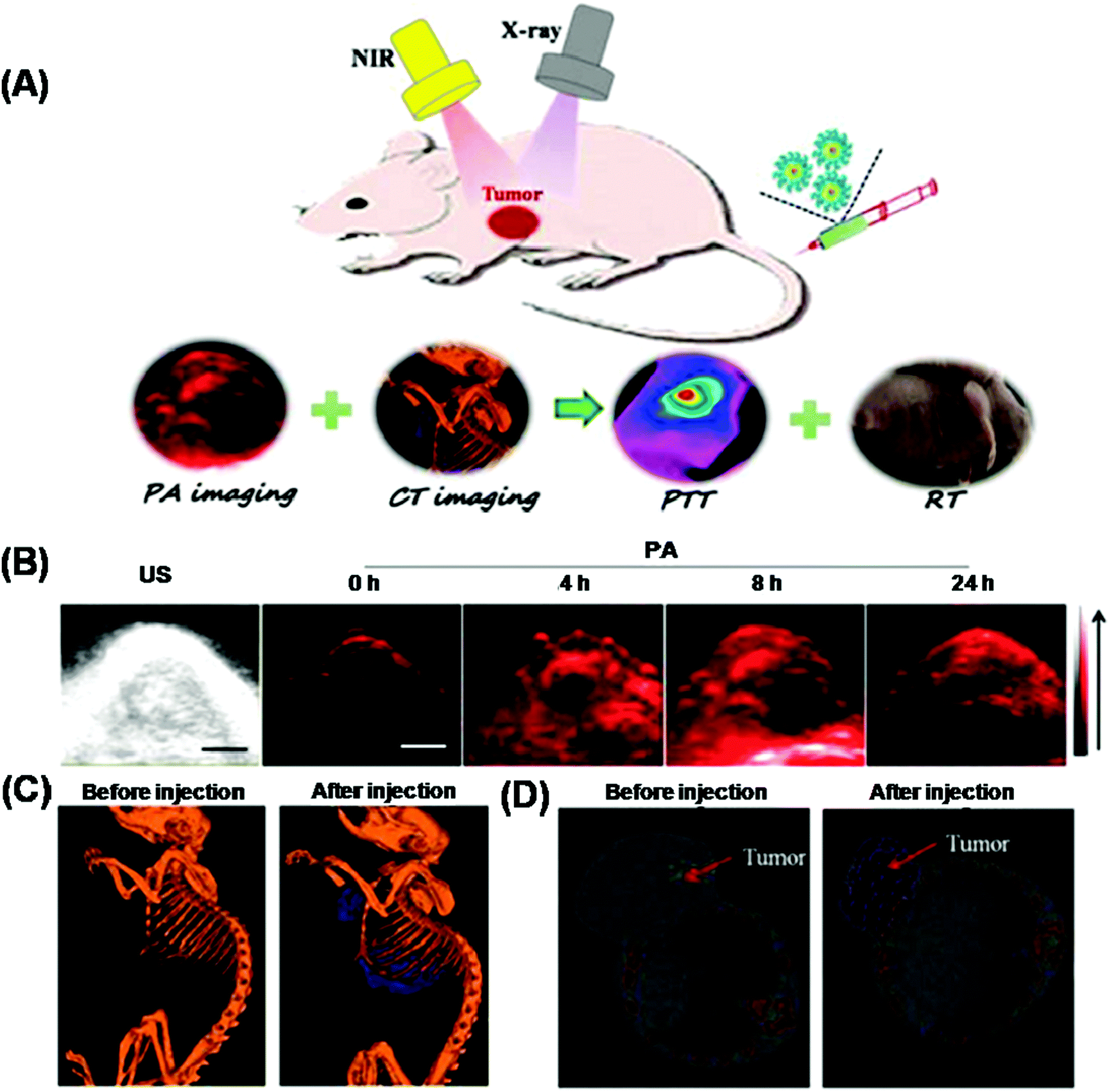 Recent progress in two dimensional inorganic quantum dots Chemical image file c7cs h f13 tif