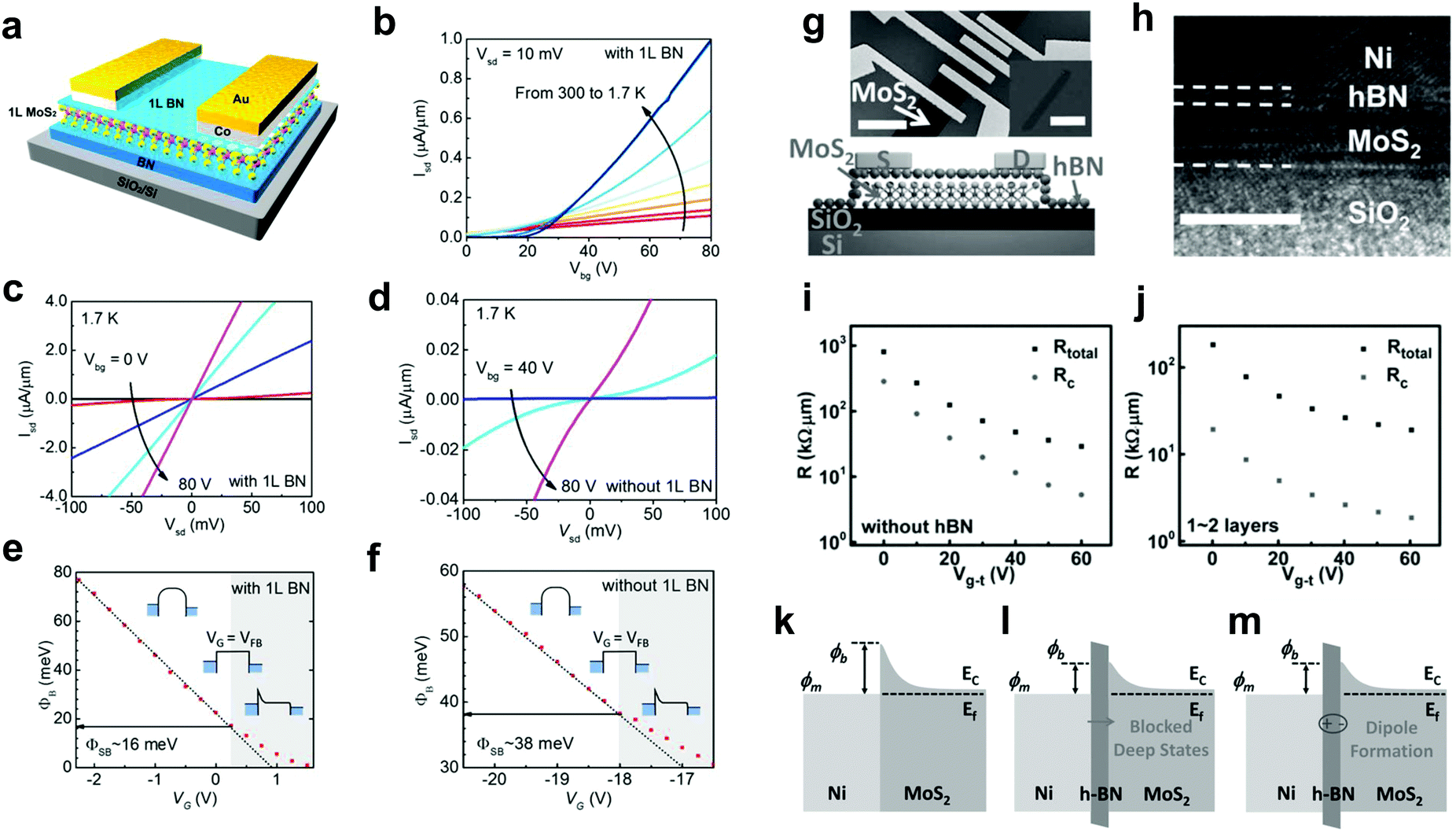Synthesis of hexagonal boron nitride heterostructures for 2D van der image file c8cs a f18 tif