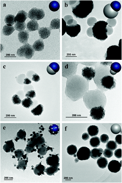 quaternary ammonium functionalized fe