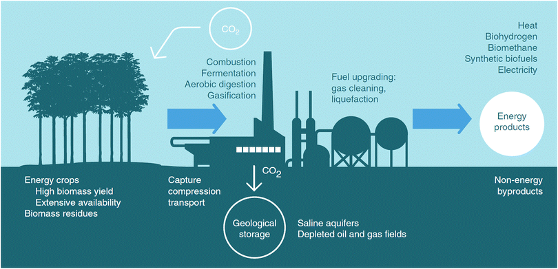 Carbon capture and storage (CCS): the way forward - Energy ...