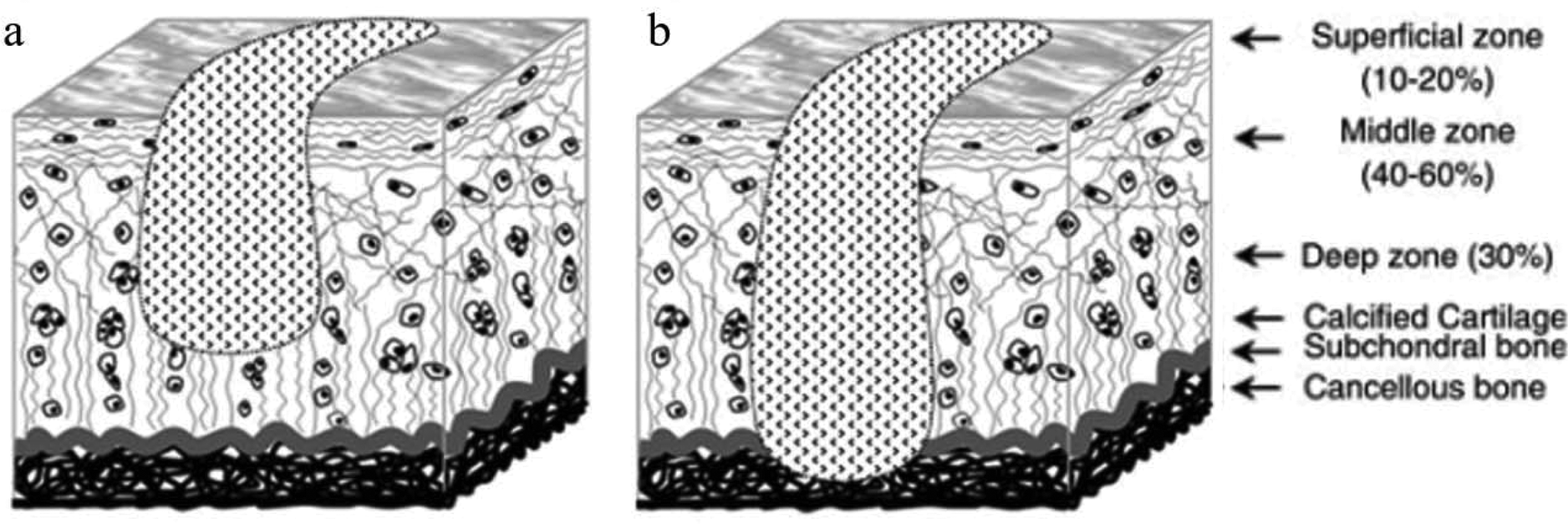 Nanofibrous Scaffolds For Biomedical Applications Nanoscale RSC