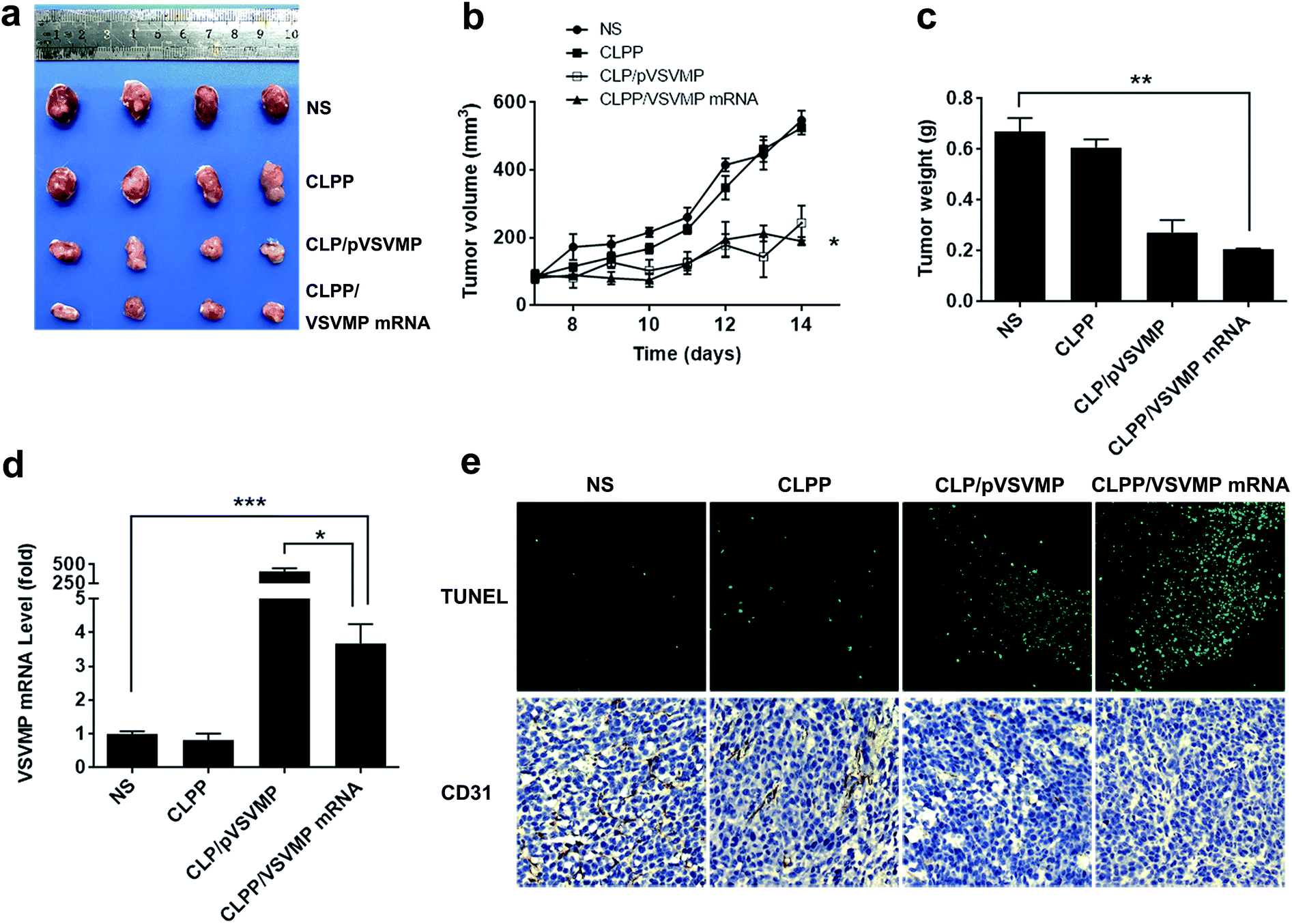 delivery of modified mrna encoding vesicular stomatitis virus