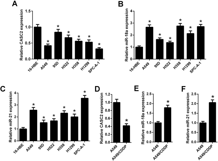 of mir-18a and mirqpcr柱状图qpcr柱状图qpcr柱状图relative