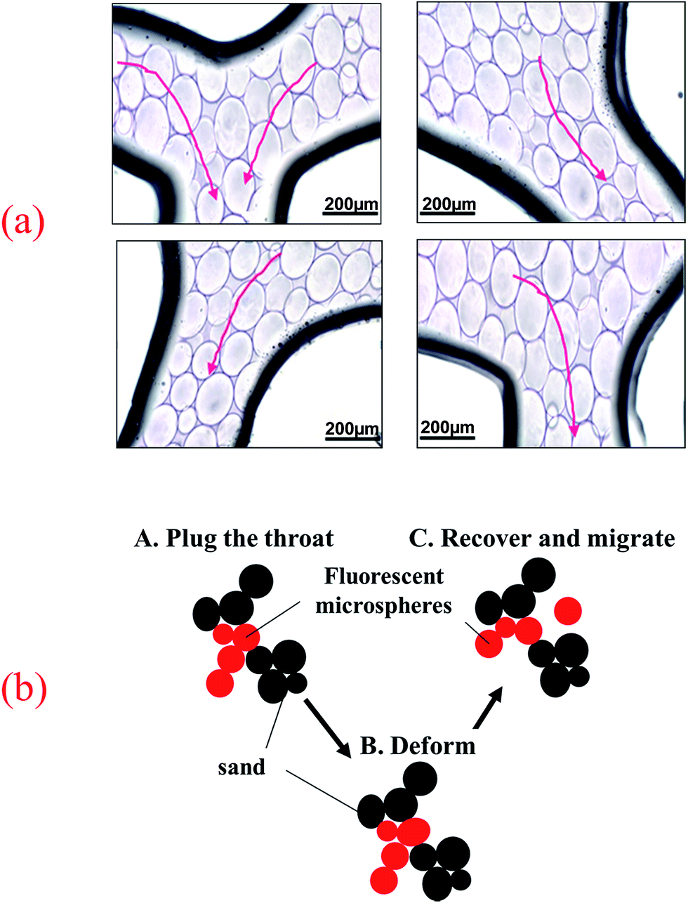 synthesis and plugging behavior of fluorescent polymer