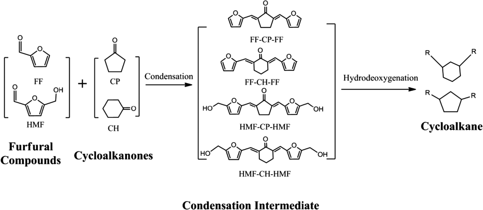 production of renewable long-chained cycloalkanes f
