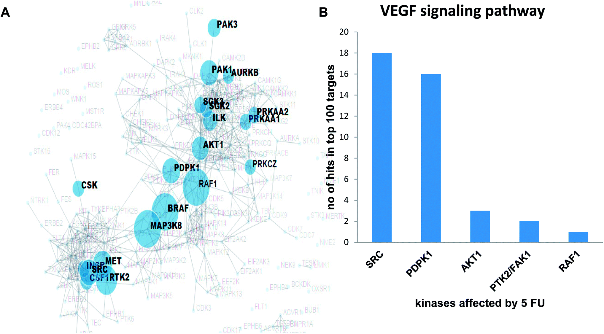 3 A Prediction Of Targets In Vegf Signalling Pathway Through Kinase Enrichmentysis Kea In Huvec Treated With 5 Fluorouracil B Vegf Signalling 3 A Prediction Of Targets In Vegf Signalling Pathway Through Kinase Enrichmentysis Kea In Huvec Treated With 5 Fluorouracil B Vegf Signalling