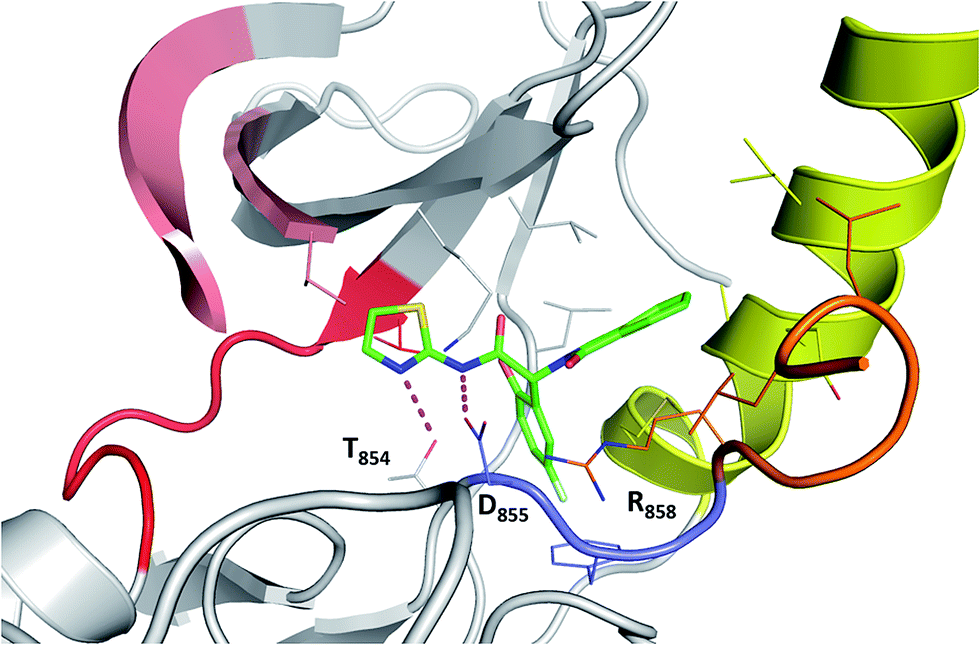 conformational landscape of the epidermal growth factor receptor