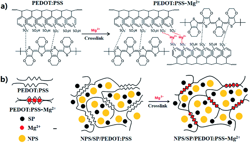 ionically cross-linked pedot:pss as a multi-functional