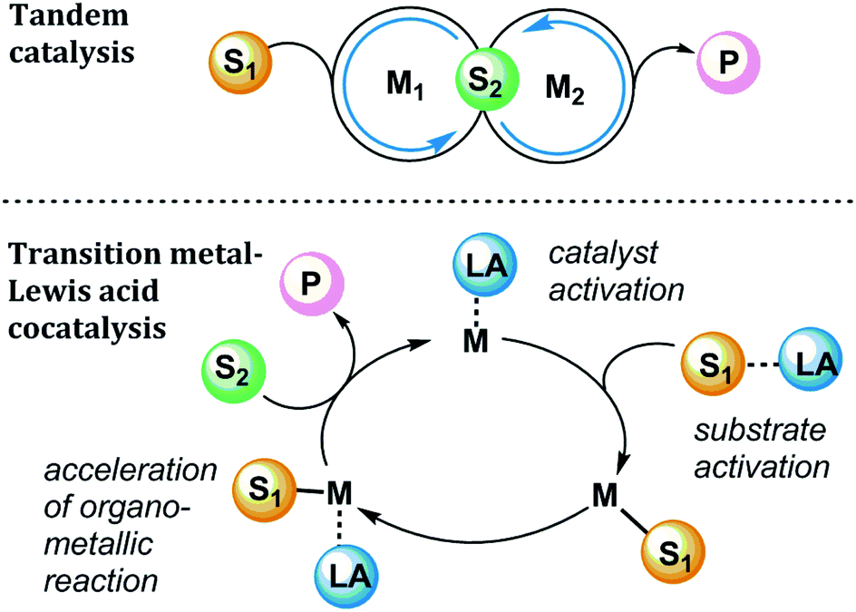The roles of Lewis acidic additives in organotransition metal catalysis