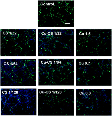 image file: c9tb90064k-f4.tif