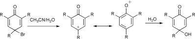 Graphical abstract: Reactivity and selectivity of aryloxylium ions